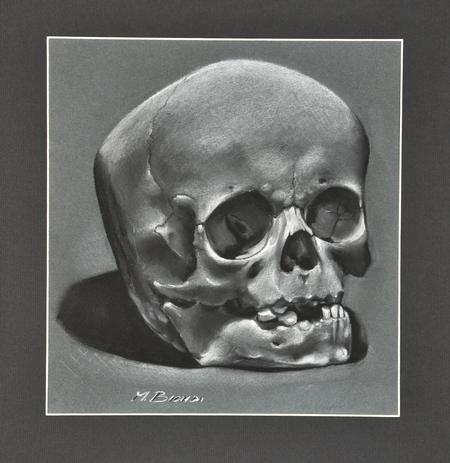 Tattoos - study of a skull - 99385
