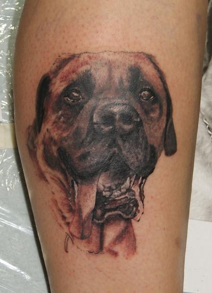 Hal Sawyer - Puppy , Mastif 