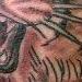 Tattoos - asian style tiger custom backpiece - 64651