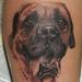 Tattoos - Puppy , Mastif  - 53547
