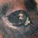 Tattoos - Portrait of a clients pooch - 56149