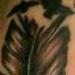 Tattoos - freehand feather hip piece - 72672