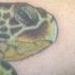 Tattoos - sea turtle - 67371