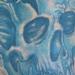 tattoo galleries/ - Bats in the head! - 58302