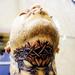 Tattoos - stitched neck - 69678