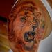 Tattoos - lion   David Vallejo - 69540