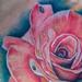 Tattoos - rose - 72882