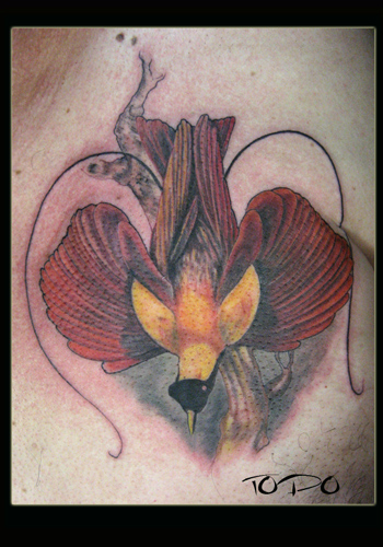 Tattoos - Nature Animal Wildlife tattoos - Exotic Bird