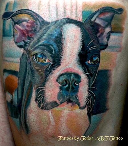 Tattoos - Boston Terrior Portrait - 57382