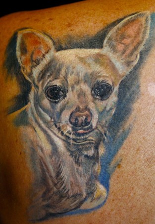 Tattoos - Todo - PePe