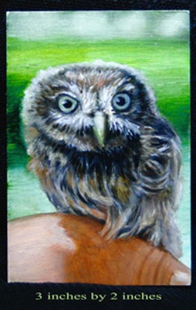 Tattoos - Pint Size owl  - 39899
