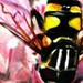 Tattoos - Pint Size Bee - 39900