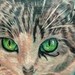 Tattoos - Kitty - 35771