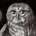 Tattoos - Book Owl - 60938