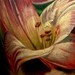 Tattoos - Lilies - 41735