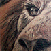 Tattoos - Lion - 33196