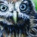 Tattoos - Pint Size owl  - 39899