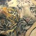 Tattoos - Tigers tattoo - 36032
