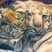 tattoo galleries/ - tigers - 45360