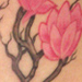 Tattoos - Tree on Hip - 24483