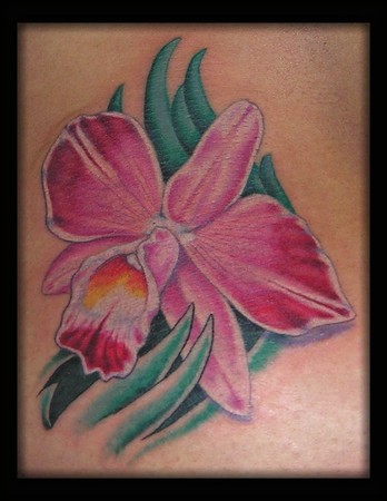 Looking for unique Tattoos? Cattleya Orchid