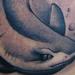 Tattoos - Black and Gray Shark Tattoo - 57964
