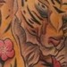 tattoo galleries/ - Tigerrrrrrrrrr!