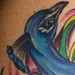 tattoo galleries/ - Peacock Closeup