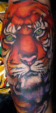 Kelly Gormley - TIGER
