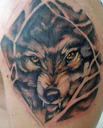 Wolf Tattoos on Paradise Tattoo Gathering   Tattoos   Nature Animal Wildlife   Wolf In