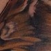 Tattoos - warewolf - 37803