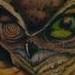 Tattoos - owl - 62398