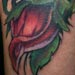 Tattoos - Red Rose - 15398