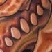 tattoo galleries/ - untitled