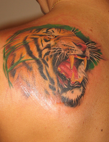 Tattoos - Tiger - 21725