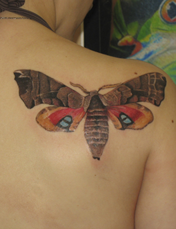 Tattoos - Butterfly. - 21710