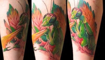 Tattoos - Mantis Tattoo - 38640