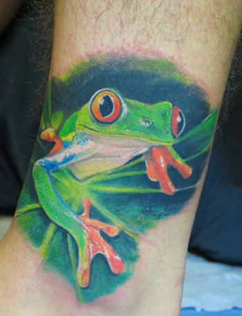 Tree Frog Tattoos on Tree Frog Tattoo Tree Frog Tattoo Me Getting My Tattoo Tree Frog Frog