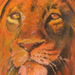 tattoo galleries/ - Lion!