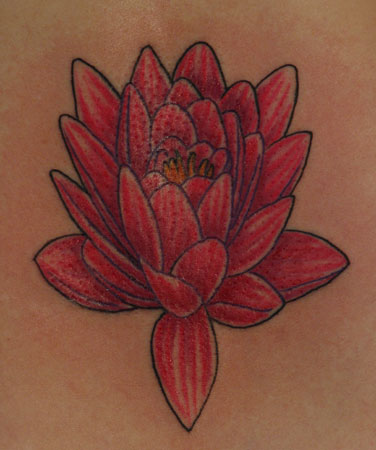 Tattoos - Anthony Lawton - lotus