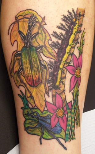 Tattoos bugs Tattoos bugs