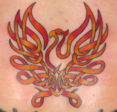 Jay Laviolette Tattoos celtic pheonix