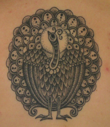 peacock peacock