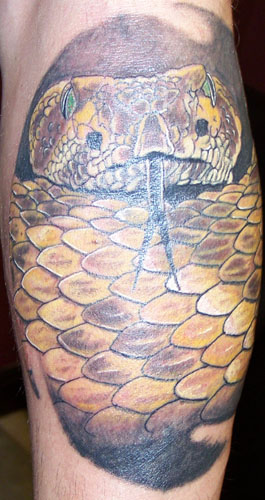 Jeff Raiano Tattoos rattlesnake 