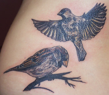 Tattoos - Nature Animal Wildlife tattoos - sparrows