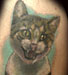 tattoo galleries/ - a cat called fish