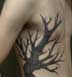 tattoo galleries/ - dead tree - 19710