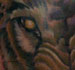 tattoo galleries/ - snarling wolf - 22957
