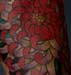 tattoo galleries/ - chrysanthemum - 21163