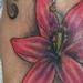 tattoo galleries/ - flower swirl - 65553